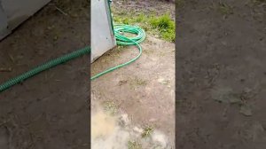 Еврокуб в деле. Душ и полив