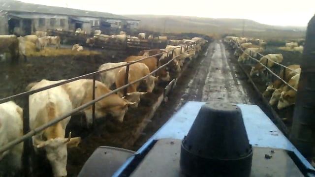 Работа на ферме RUSSIAN TRACTORS смотреть онлайн