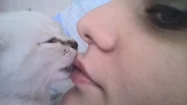Сладкий поцелуй. смотреть онлайн