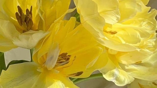 психология цвета "жёлтый" смотреть онлайн