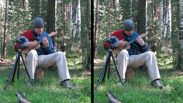 Lullaby of Birdland. George Shearing. Ukulele cover. смотреть онлайн