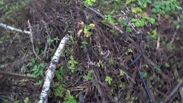 КАК Я ЗАРАБАТЫВАЮ КОПАЯ МЕТАЛЛ В САМОМ ОПАСНОМ МЕСТЕ! РАСТЕНИЕ-УБИЙЦА! Коп металлолома смотреть онлайн