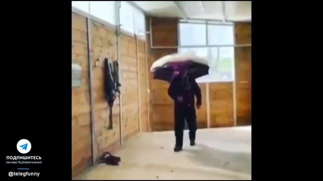 Приколы - Самоизоляция - Лучшие Прикольные Видео на Карантине смотреть онлайн