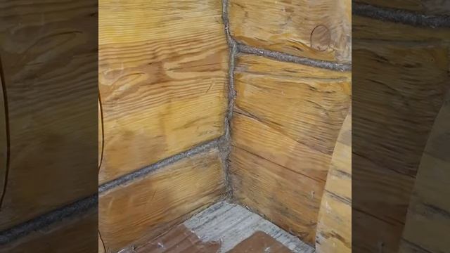 Конопатка сруба #конопаткасрубов #конопатка #шлифовкасрубов #шлифовка #покраскасрубов #покраска