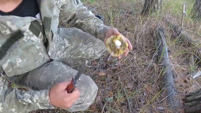 Собираем Белые грибы осенью 2020 смотреть онлайн