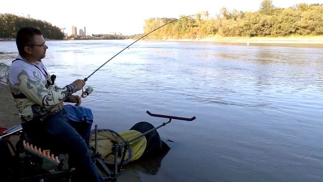 Взял легкий фидер, и оторвался по рыбцу и лещу на сильном течении. Фидер на течении. Речной фидер смотреть онлайн