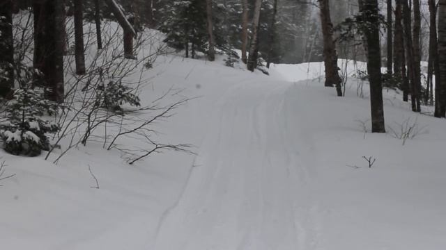 Sortir un voyage de billots avec mon tundra 2000. смотреть онлайн