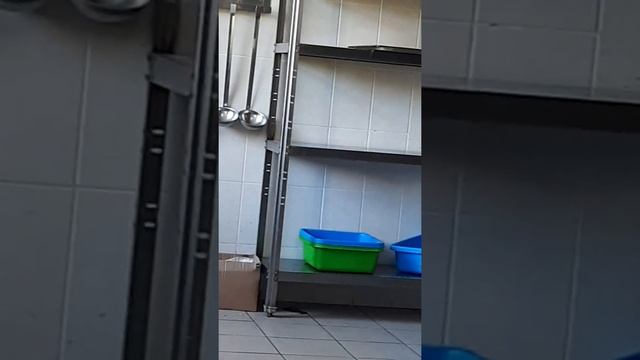 Ресторан Сябрына, повар без шапки. смотреть онлайн