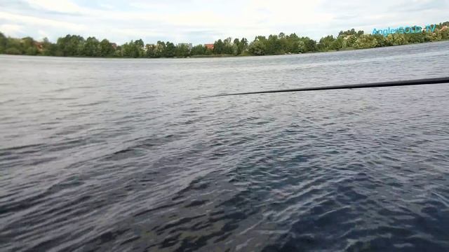 Ловля маховым удилищем на реке. смотреть онлайн