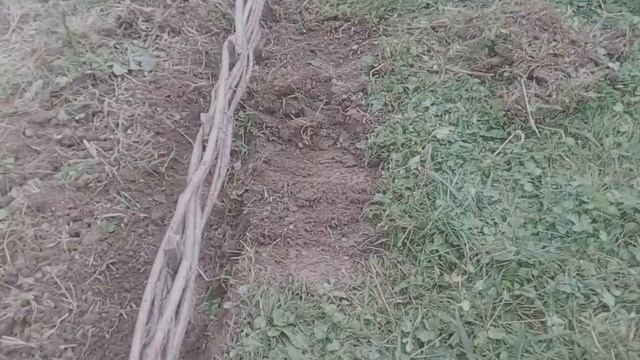 Красивая клумбо-грядка. ч.2 смотреть онлайн