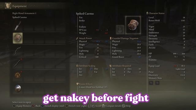 The JoJo's Dio Build BREAKS Elden Ring! (Anime Build)