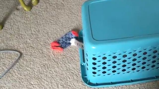 Котик собирает носки в корзину для белья :з смотреть онлайн