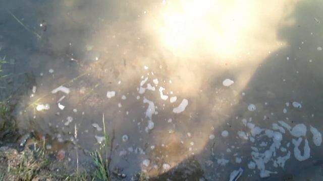 Заглянул на этот Клондайк? И поднял клад самородков!!! смотреть онлайн