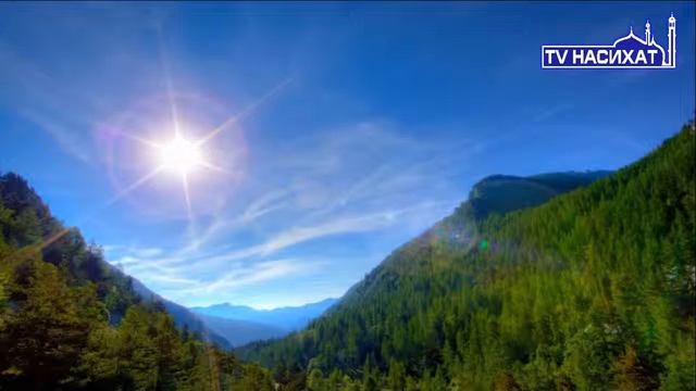МНЕ СТЫДНО ПЕРЕД АЛЛАХОМ 2017 насихат смотреть онлайн