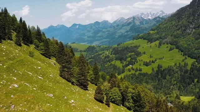 Расслабляющая фортепианная музыка ? Изучайте фортепианную музыку ? Фортепиано для снятия стресса смотреть онлайн