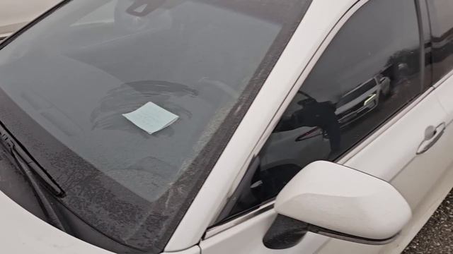 Авторынок Чечни Петропаловка 17.02.2024 смотреть онлайн