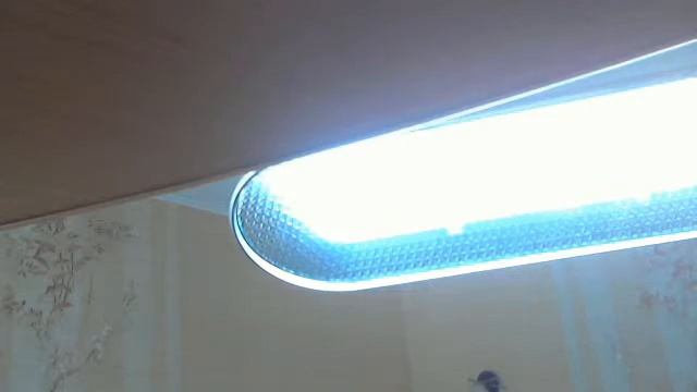 Видео с веб-камеры. Дата: 4 февраля 2014 г., 13:52.