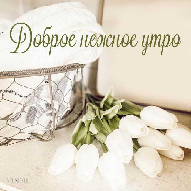 Оригинальное Пожелание Доброго Утра!