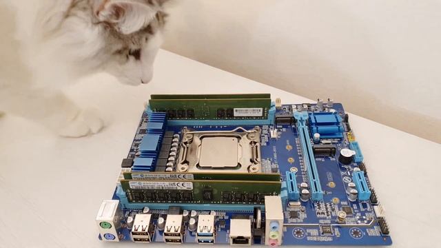 ?? Windows 11 on LGA 2011-3 / X99 – how to install and tests vs Windows 10 | E5-2640 V3, RX 6800XT смотреть онлайн
