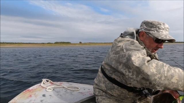 Мой топчик хвостатых джеркбейтов сезона 2023