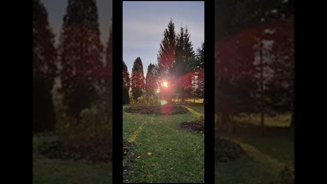 Осень в монастыре смотреть онлайн