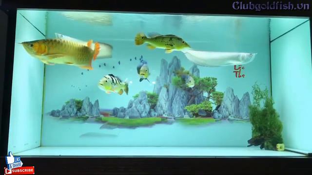 Aquarium light beautiful white light - Goldfish club смотреть онлайн