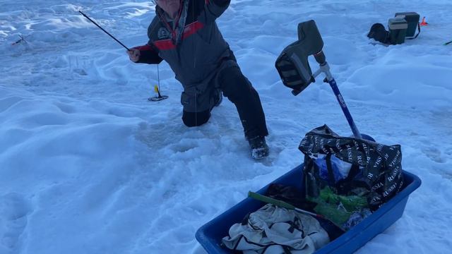 Поклевки сегодня радуют смотреть онлайн