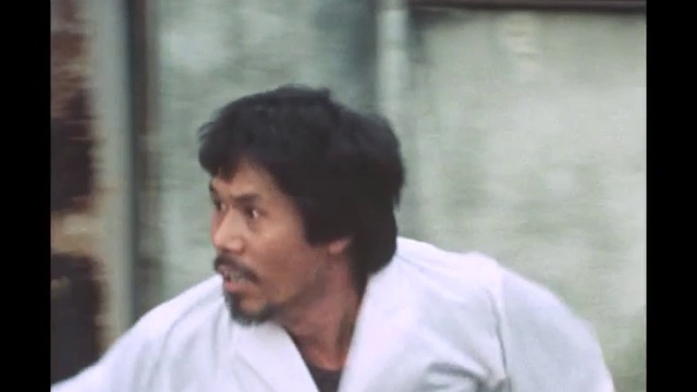 太陽にほえろ！ 第428話 ドック対ドッグ смотреть онлайн