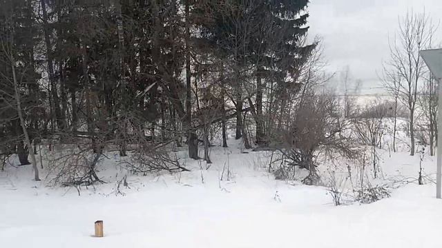 Участок 5,9 Га с/х назначения в 5 км от дороги А-108, 90 км от МКАД по Минскому и Киевскому шоссе смотреть онлайн