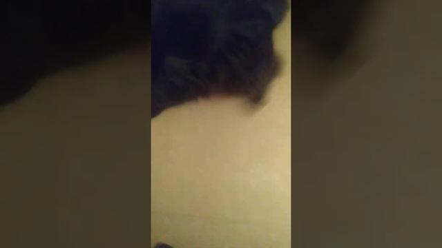 Аглаша смотреть онлайн