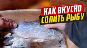 Сухой посол рыбы Лучший способ посола рыбы. Как вкусно солить и вялить рыбу. Как солить щуку.