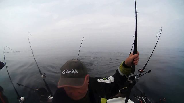 laxtrolling Simrishamn 2013 смотреть онлайн