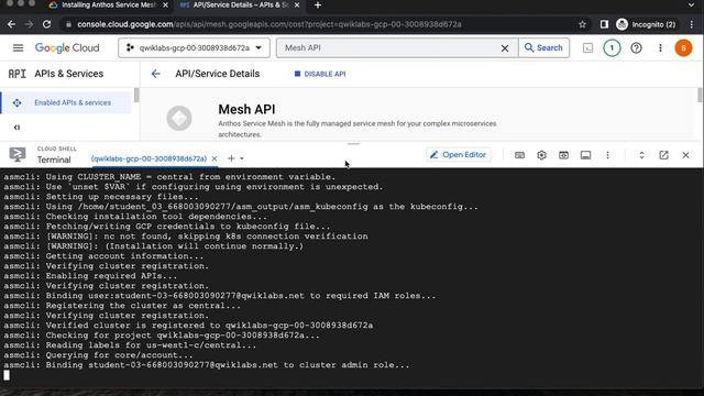 Installing Anthos Service Mesh on Google Kubernetes Engine GSP654 смотреть онлайн