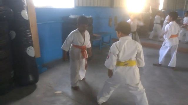 Kyokushin Karate