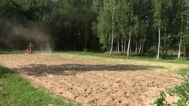 17.07.2023. Заделка сидератов фрезой ФР-00010. Мотоблок МТЗ Weima WM188F 13л/с