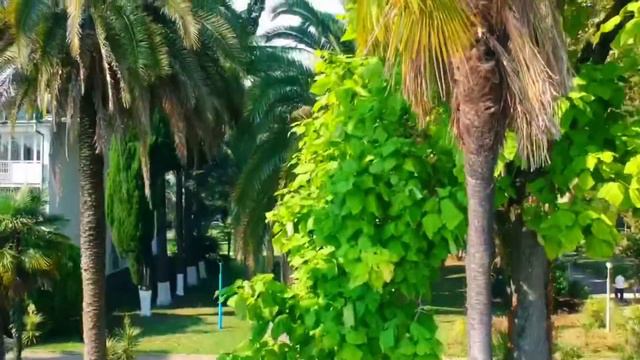 Abkhazia. DJI Spark. 2018 смотреть онлайн
