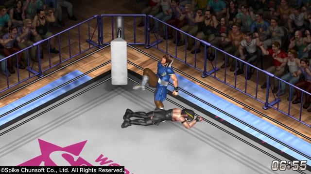 Yor Forger vs. Chun-Li смотреть онлайн