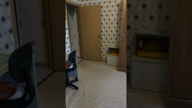 Трюки для начинающих на самокате смотреть онлайн