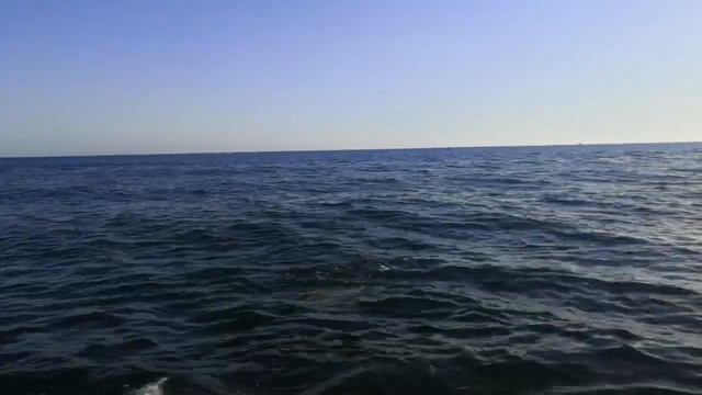 Соня море 31 августа 2022(1) смотреть онлайн