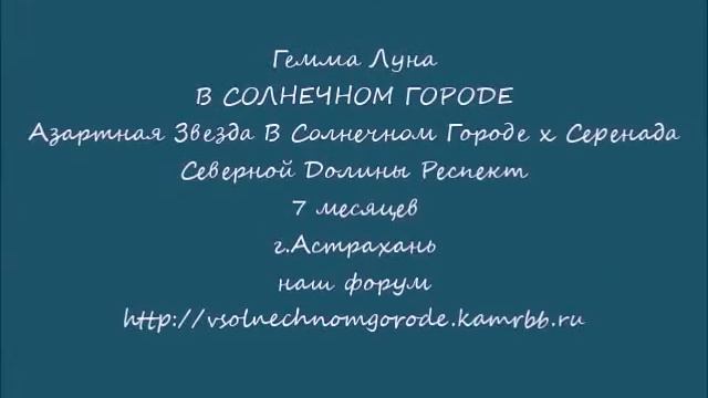 Джемма. Школьный дневник. 7.11.15. 4доски смотреть онлайн