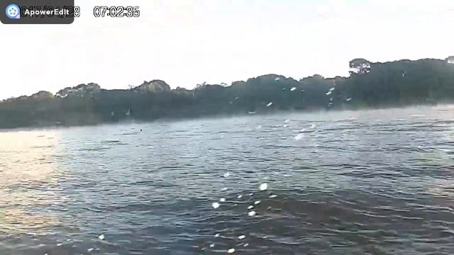 Piassaguera Paranagua смотреть онлайн