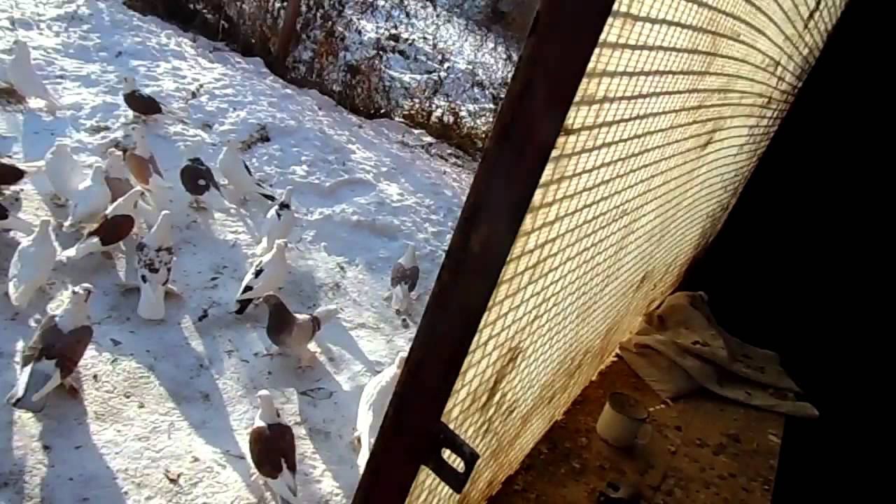 14.11.2015 Cергей Ломов