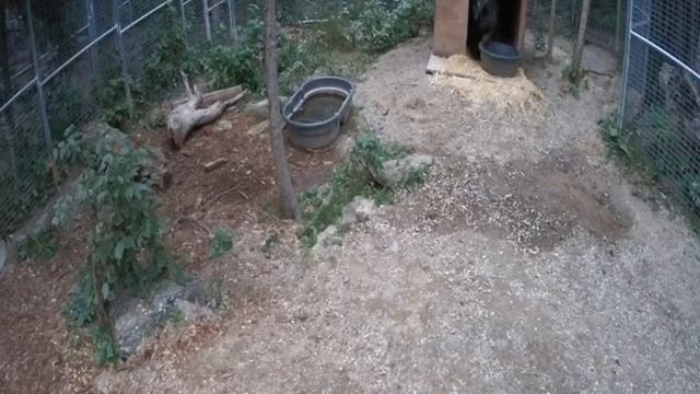Ted Arranging His Den ~~ 9/7/2020 смотреть онлайн