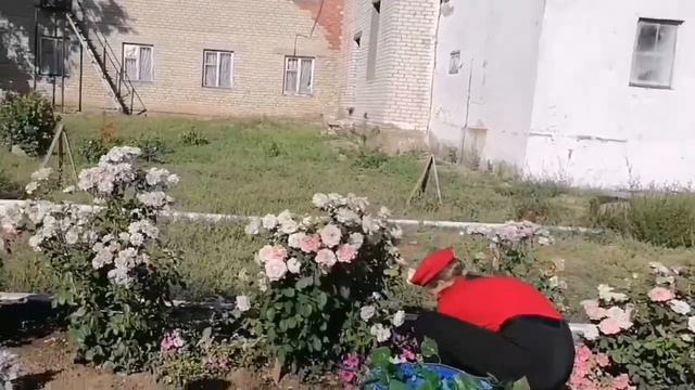 382. Отряд ЮНАРМИЯ МОУ-СОШ с. Лебедевка Краснокутского района Саратовской области смотреть онлайн