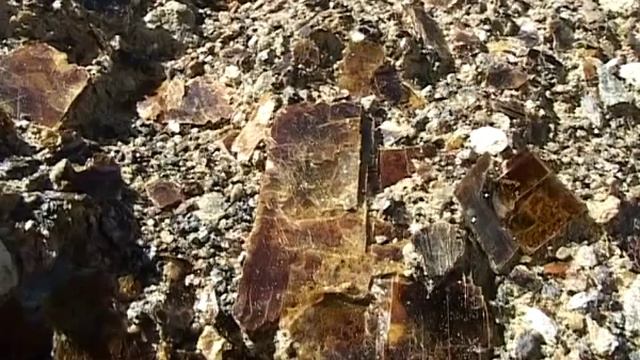 Кондёр - Платиновый котел смотреть онлайн