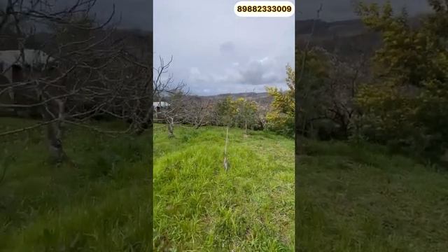 Привлекательная цена на недвижимость в Сочи 2022 |Агентство Недвижимости Дом в Сочи|16+|123 смотреть онлайн