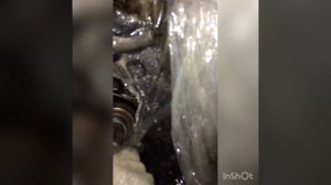 Honda civic проверка Главной Пары без разбора мкпп d серия