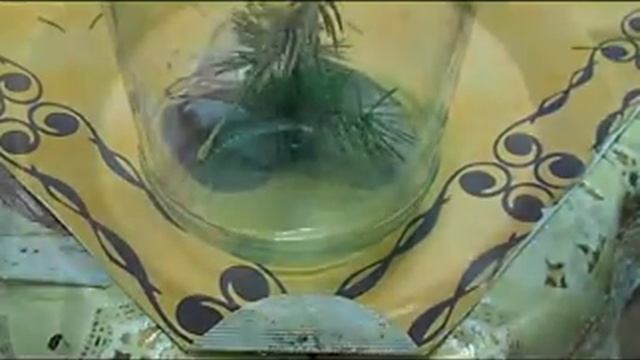 Как сделать ароматическую свечку?/How to make an aromatic candle? смотреть онлайн