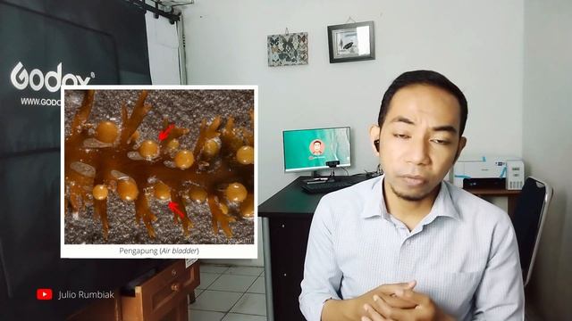 ALGA | PART 1 смотреть онлайн