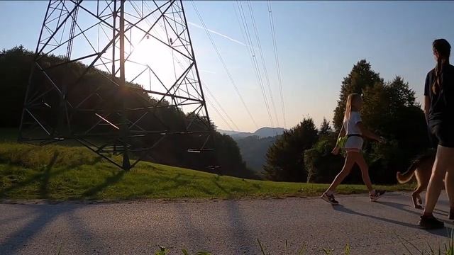 Beautiful Relaxing Music - Dogs Film смотреть онлайн